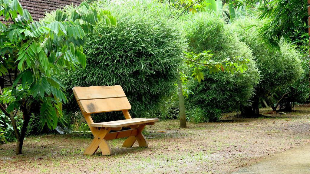 Clayfingers Art Cottage Thrissur Exteriér fotografie