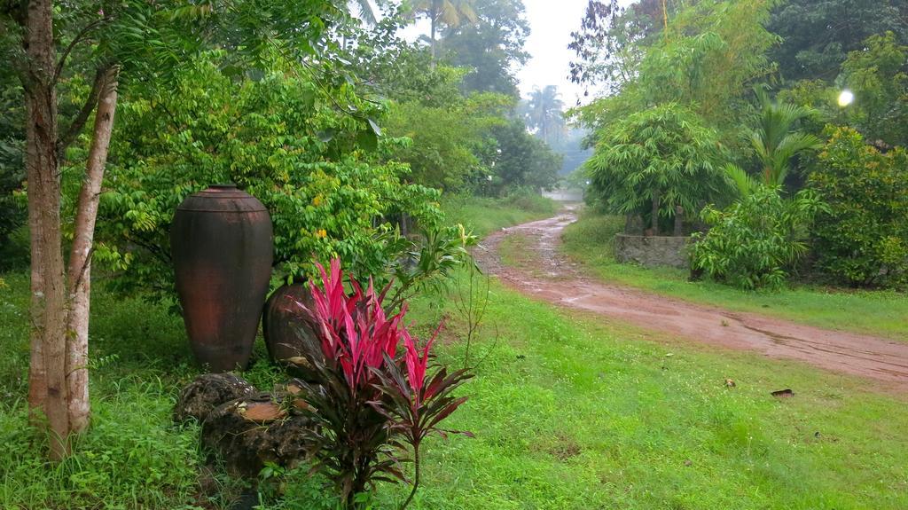 Clayfingers Art Cottage Thrissur Pokoj fotografie