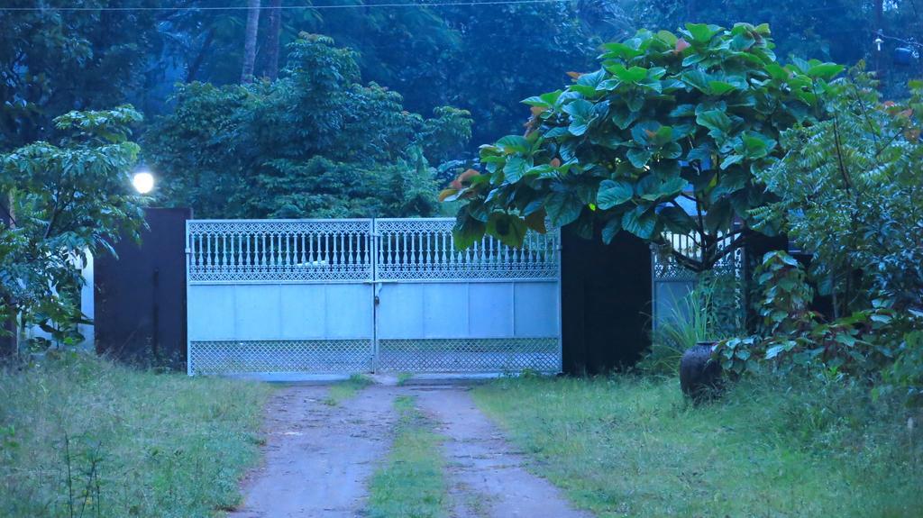 Clayfingers Art Cottage Thrissur Pokoj fotografie