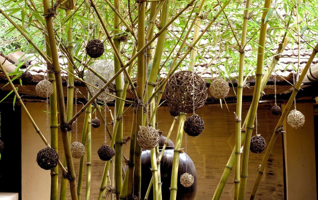Clayfingers Art Cottage Thrissur Exteriér fotografie