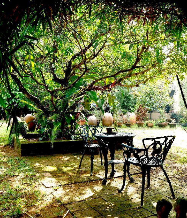 Clayfingers Art Cottage Thrissur Exteriér fotografie