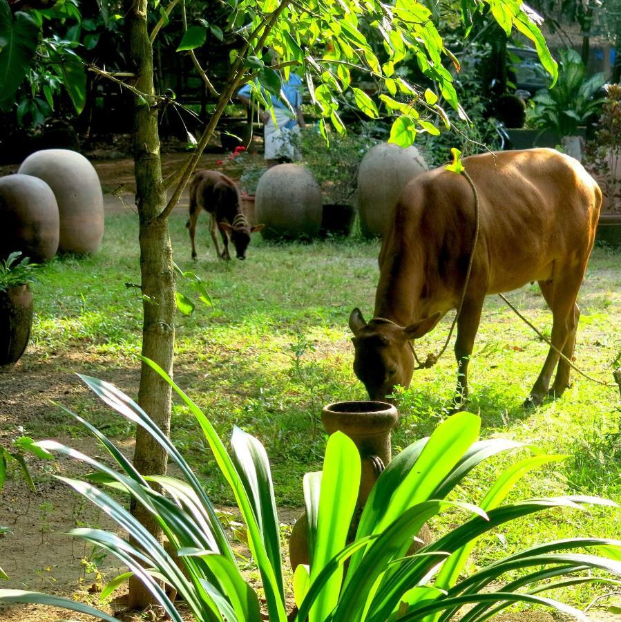 Clayfingers Art Cottage Thrissur Exteriér fotografie